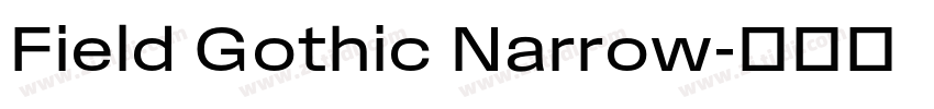 Field Gothic Narrow字体转换